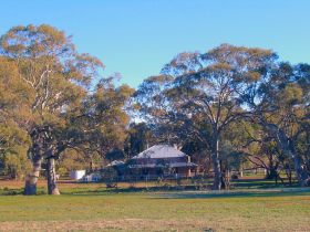Old Wilpena Station - Accommodation 4U 0