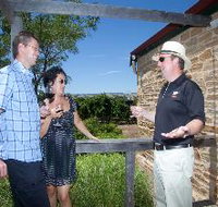 Shingleback Wine Cellar Door - Accommodation 4U