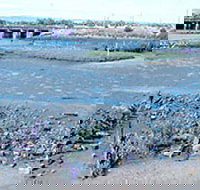 Jervois Basin Ships' Graveyard - Accommodation 4U