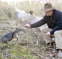 Sinclair's Gully - Accommodation 4U