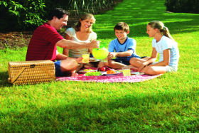 Bruny Island Berry Farm - Accommodation 4U 0