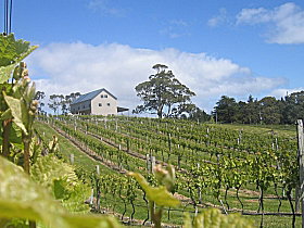 Bruny Island Premium Wines Bar And Grill - Accommodation 4U 0