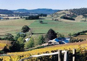 Freycinet Vineyards Pty Ltd - Accommodation 4U 0