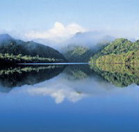 The Gordon River