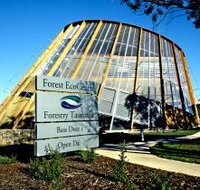 Forest EcoCentre - Accommodation 4U