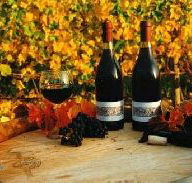 Craigow Vineyard - Accommodation 4U