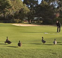Royal Hobart Golf Club