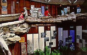 West Coast Visitor Information And Booking Centre - Accommodation 4U 0