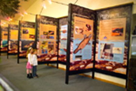 Platypus Experience - Accommodation 4U 0