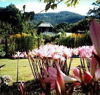 Blueberry Cottage Open Gardens