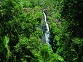 Montville QLD Accommodation 4U