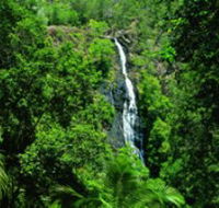 Kondalilla National Park - Accommodation 4U