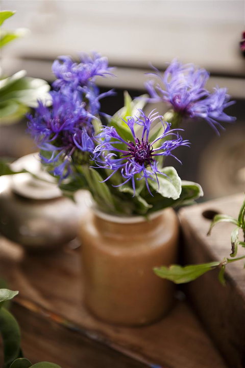 Salamanca Market - Accommodation 4U 1