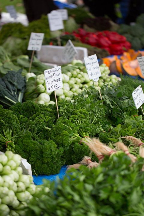 Salamanca Market - Accommodation 4U 5