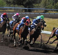 Alice Springs Turf Club - Accommodation 4U