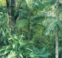 Westside Track Maiala - Accommodation 4U