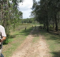 Coombabah Lakes Conservation Area - Accommodation 4U