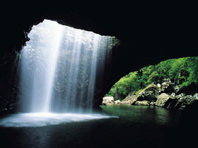 Natural Bridge, Springbrook National Park - Accommodation 4U 0