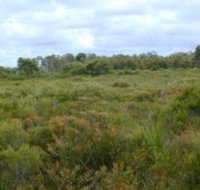 Pine Ridge Conservation Park - Accommodation 4U
