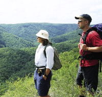 Sunshine Coast Hinterland Great Walk - Accommodation 4U