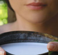 Ikatan Day Spa - Accommodation 4U