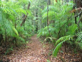 Mapleton QLD Accommodation 4U