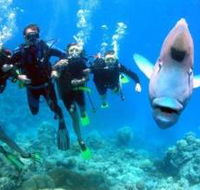Magic Mountain Dive Site - Accommodation 4U
