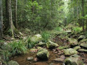 Amamoor State Forest - Accommodation 4U 0