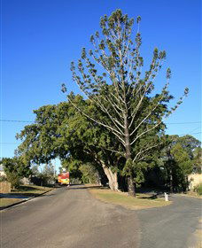 North Sunshine Coast QLD Accommodation 4U