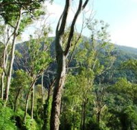 Smiths Track Barron Gorge National Park - Accommodation 4U