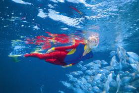 Pixie Pinnacle Dive Site - Accommodation 4U 0