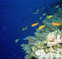 The Three Sisters Dive Site - Accommodation 4U