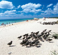 Michaelmas and Upolo Cays National Park - Accommodation 4U
