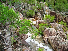 Crows Nest National Park - Accommodation 4U 0
