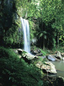 Tamborine QLD Accommodation 4U