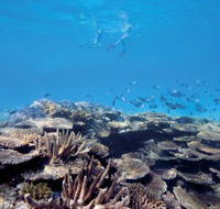 Australian Institute of Marine Science - Accommodation 4U