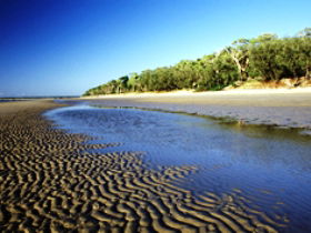 Burrum Coast National Park - Accommodation 4U 0