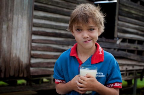 Maleny Dairies - Accommodation 4U 2