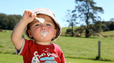 Maleny Dairies - Accommodation 4U 5