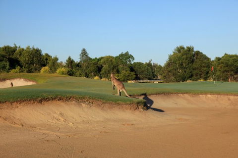 Pelican Waters Golf Club - Accommodation 4U 6