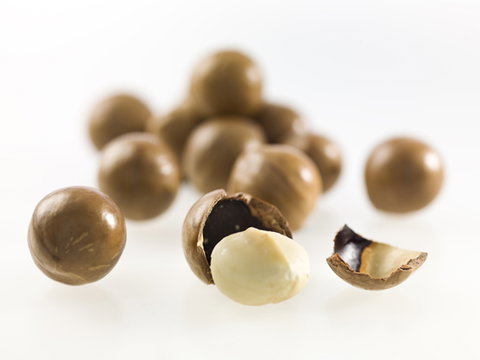 Nutworks - Accommodation 4U 5