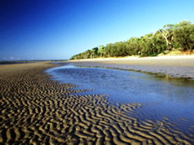 Kinkuna Section - Accommodation 4U 0