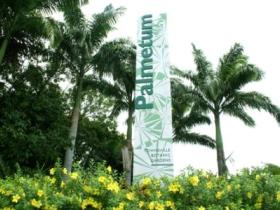 Townsville Palmetum - Accommodation 4U 0
