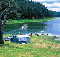 Danbulla National Park and Danbulla State Forest - Accommodation 4U