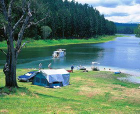 Danbulla National Park And Danbulla State Forest - Accommodation 4U 0