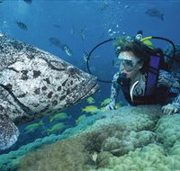 Pelorus Island - Accommodation 4U