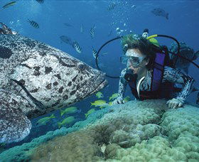 Pelorus Island - Accommodation 4U 0