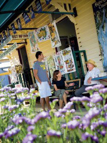 Alpha Petrified Wood - Accommodation 4U 0