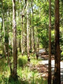 Hallorans Hill - Accommodation 4U 0