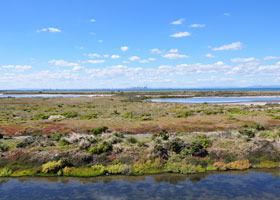 Point Cook Coastal Park - Accommodation 4U 0